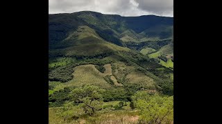 Webinar: Dispo de Hab e Biodiver: como processos na escala da paisagem determinam padrões biológicos