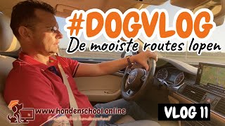 #dogvlog 11 - Heel veel nieuwe dingen;-)