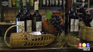 Blog Tv Castelforte i Vini della nostra Terra web