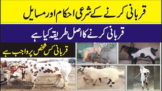 Qurbani Karne Ke Sharai Ahkam Aur Masail | Ayub chohan| qurbani kis par wajib hai | pal pal news tv