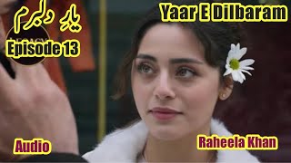 Yaar E Dilbaram Novel Episode 13 | Raheela Khan | Cousin Marriage based Comedy Novel | Urdu Novel