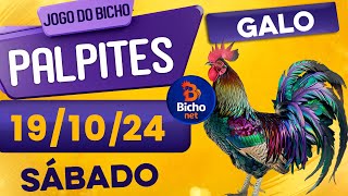 PALPITE DO DIA 19/10/2024 - JOGO DO BICHO 🍀 TODAS AS LOTERIAS 🍀