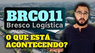 BRCO11 | BRESCO LOGÍSTICA: QUEIMA DE CAIXA, IMÓVEL VAGO E A RECENTE QUEDA DE RENDIMENTOS