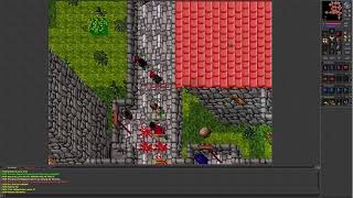 Tibia 7.4 (Danubia. Level 21 Sorcerer with Team SD-combo in Venore, chaos)