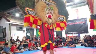 SOLAH PEMBARONG DADAK MERAK BERHASIL 4KALI GULUNG DAPET SAWER 200RIBU#dadakmerak #reog