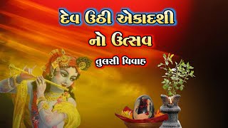 દેવ ઉઠી એકાદશી નો ઉત્સવ | તુલસી વિવાહ | Tulsi Vivah nu  Mahatva