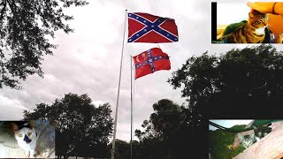 Large Confederate Flags in the Wind