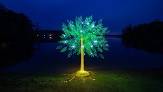 Illuminating the Night at Mistletoe State Park, Light Painting Vlog Episode 59