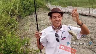 mancing udang galah bikin gregetan //Picking shrimp at the pole makes greasing..