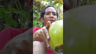 Harvesting "Buko" #cultureandtraditions #catchandfeastcrew #fieldsandmountains