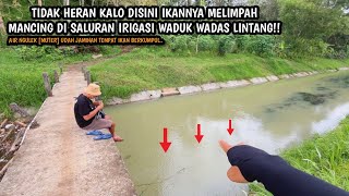 SALURAN IRIGASI WADUK WADAS LINTANG IKAN MELIMPAH!! Mancing wader teknik kumbul umpan Rasbora