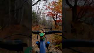 There is some chunk on this Minnesota trail | MTB Short