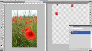 Pixelstarter Photoshop Videotraining Teil 22 B. Bilderauswahl