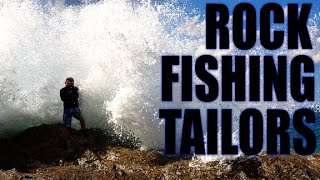 🎣🏖️🌊 FISHING FOR TAILORS AT SNAPPER ROCKS, GOLD COAST