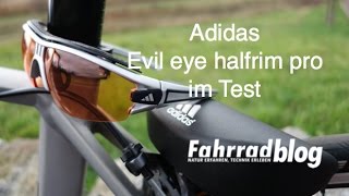 Adidas Evil eye halfrim pro im Test