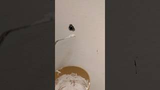 معالجة ثقوب الحائط Fix small hole in wall #shorts