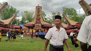 Mantawa Tondok, di RITUAL Rambu Solo' Di  Bonoran. KEMEWAHAN KEMATIAN SUKU TORAJA