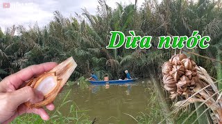 [Vlog]_Đi chặt dừa nước đến nỗi chìm xuồng !