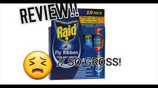 RAID FLY RIBBON || Review // Gross close up!