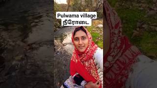 pulwama village நீரோடை #shortsfeed #shorts #pulwama #stream #tamil