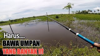 MANCING IKAN NILA SAMPAI KEHABISAN UMPAN || JEMPONG MANCING#JM-48