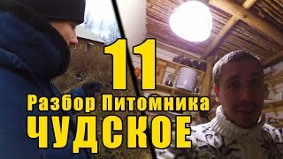 Чудское 11 - Разбор Питомника