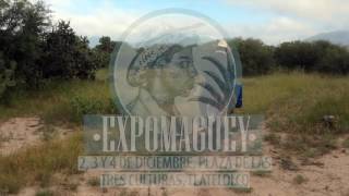 Expo Maguey 2016