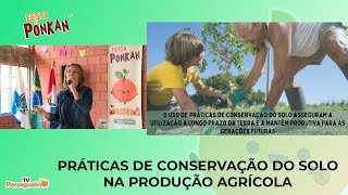 Festa da Ponkan em Pessegueiros: Palestra "PRÁTICAS DE CONSERVAÇÃO DO SOLO NA PRODUÇÃO AGRÍCOLA"