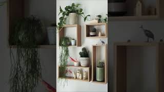 Wall shelves design ideas.#walldecoration #wallshelves #noahinterior #interiordesigner #homedecor