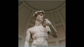 The Statue of David Michelangelo