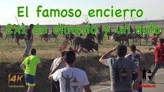 2 encierros camperos por el precio de uno en Olmedo