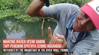 Terekam Kamera Pengganggu Mancingku / My Fishing Bully Caught On Camera