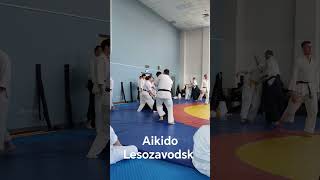 aikido Lesozavodsk