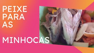 # Minhocas comem peixe? assimilação da materia orgânica