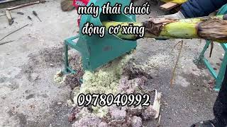 máy thái chuối chạy động cơ xăng. #dienmaythuanlinh #maythaichuoi