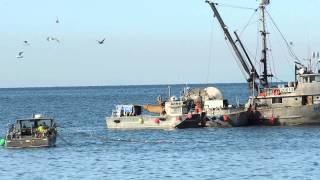 Herring Fishery March 2015