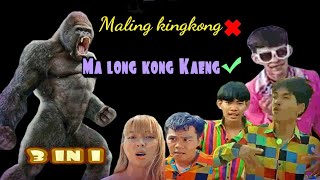 gabungan lagu maling kingkong ngangengong | ma long kong kaeng | thailand