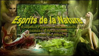 Esprits de la Nature et Elémentaux. Nymphes, Pygmées, Gnomes, Sylphes, et tous les autres esprits.