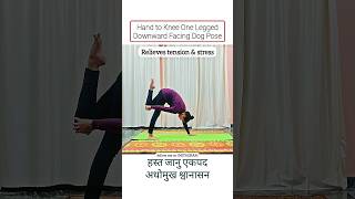 Hand 2 Knee Downward Facing Dog Pose #shorts #ytshorts