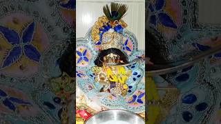 कौन कहते हैं भगवान आते नहीं🙏🏻🙏🏻 #laddugopal #radhakrishna #myfirstvlog