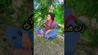 Pashto best poetry saidjani /پشتو شائستہ شاعری #subscribemychannel #pashtoverysadtapey2022