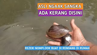 Mau mancing malah liat kerang, langsung panen kerang