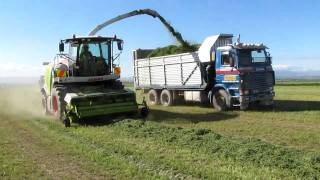 silage lucerne 041.MOV