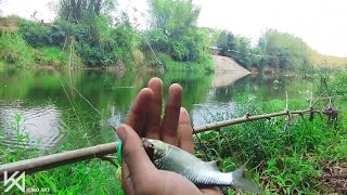 Mancing Dasaran Umpan Murahan