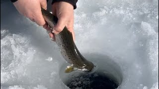 Maine ice fishing landlocked salmon