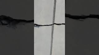 Severe Cracks Repair on Wall