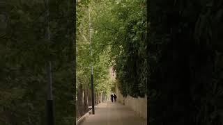 Tehran - Walking In Zafaraniyeh I relaxing video for stress relief