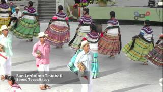 Guelaguetza 2014 - San Jerónimo Tecóatl