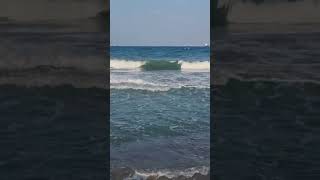 la playa del Valencia spain#short#vedio #virel