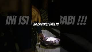 ini isi perut BABi !!! #shorts #shorts #shortvideo #babi